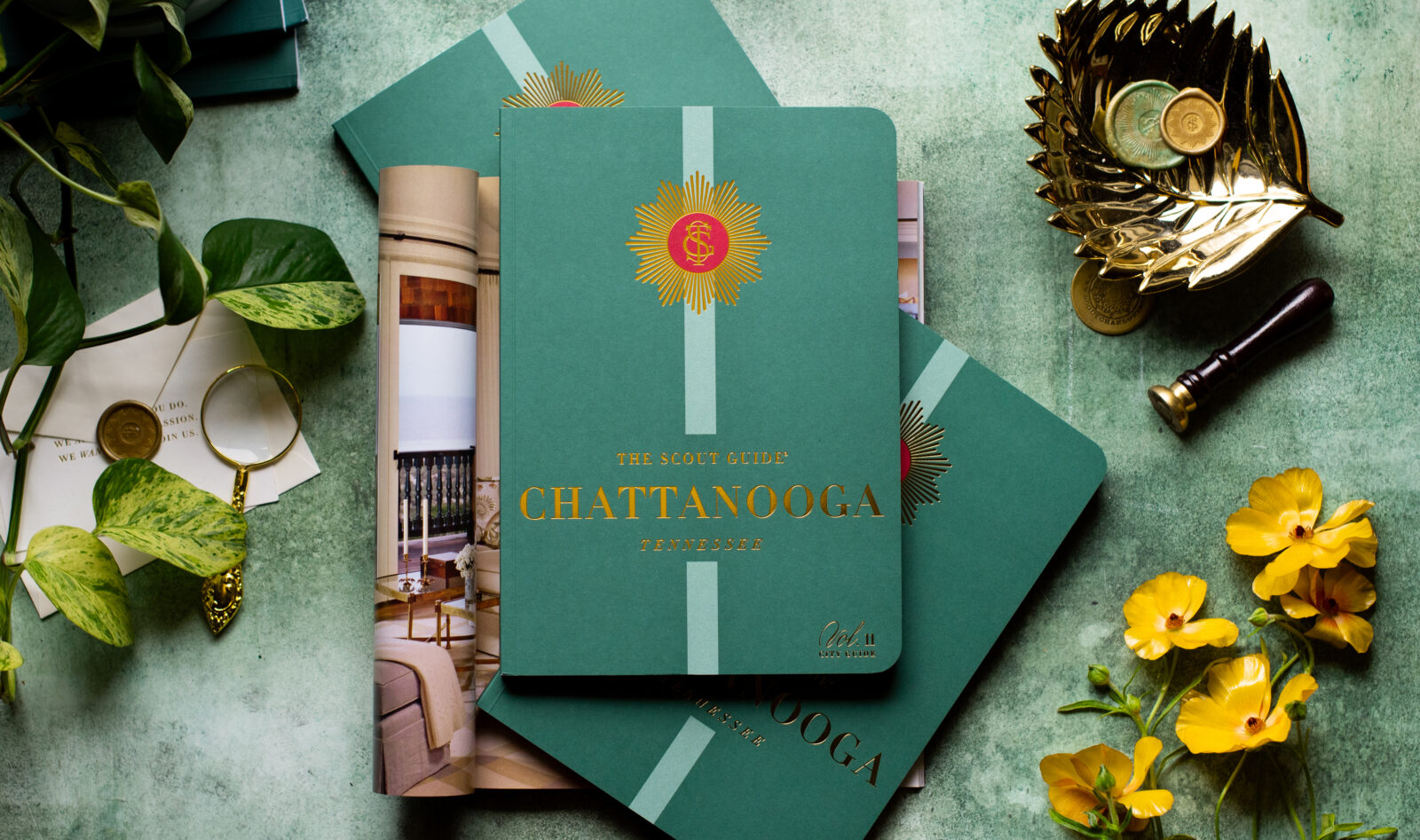 Craigslist Chattanooga Your Ultimate Guide To Local Bargains - np7njmr