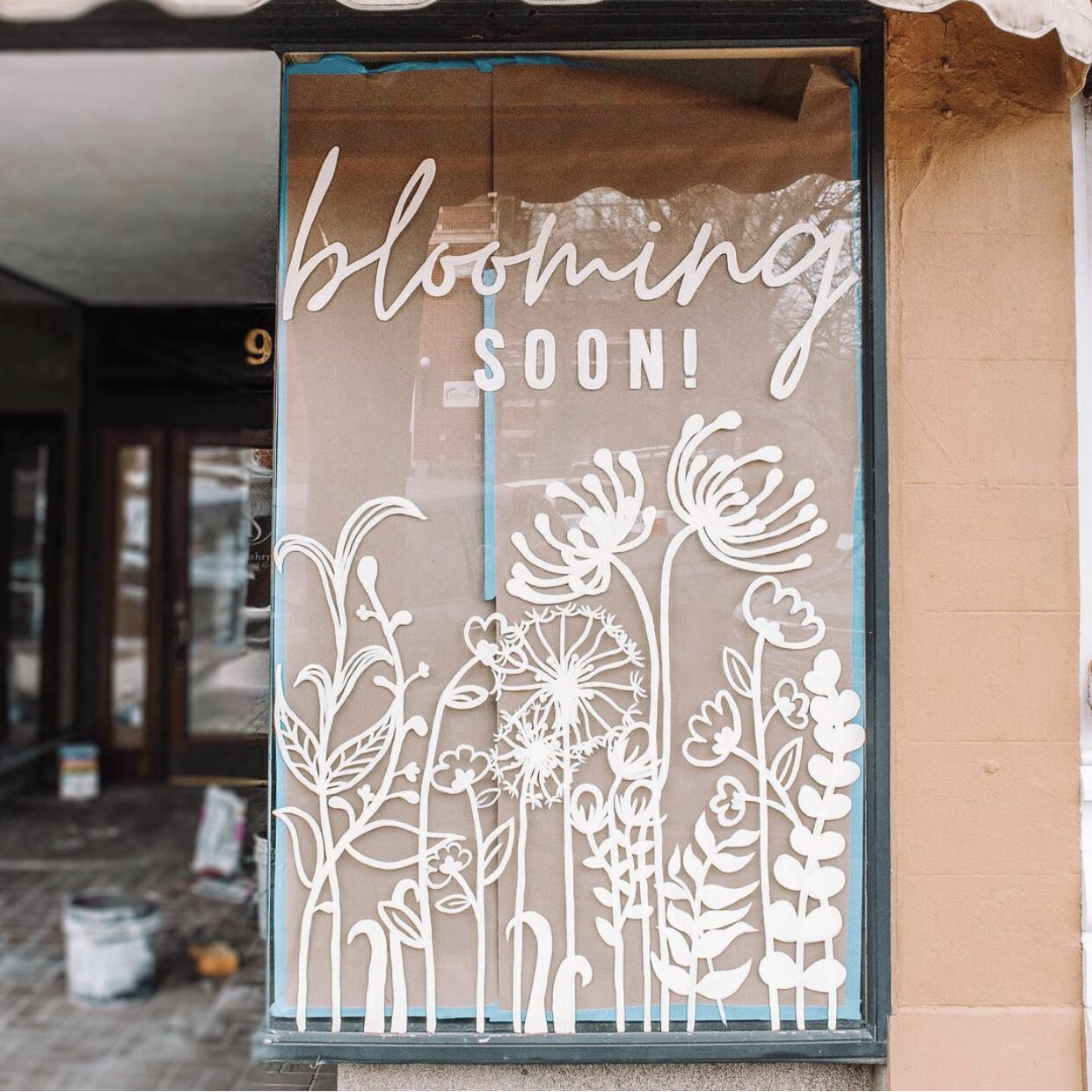 SCOUTED FOR VOLUME 5 NWA FLORIST The Scout Guide