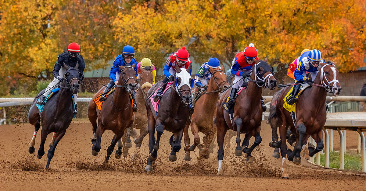 A Taste of the Races at Keeneland - The Scout Guide