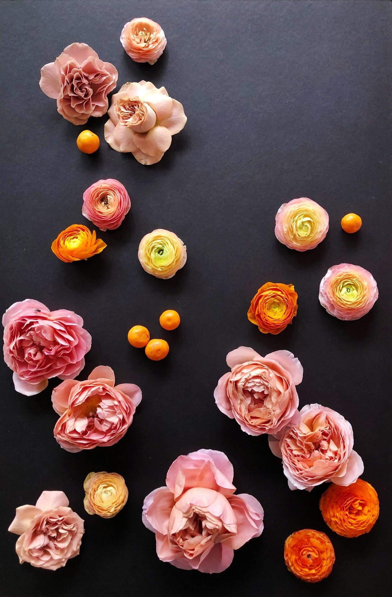 24 HOURS WITH HOUSE OF MARGOT BLAIR The Scout Guide