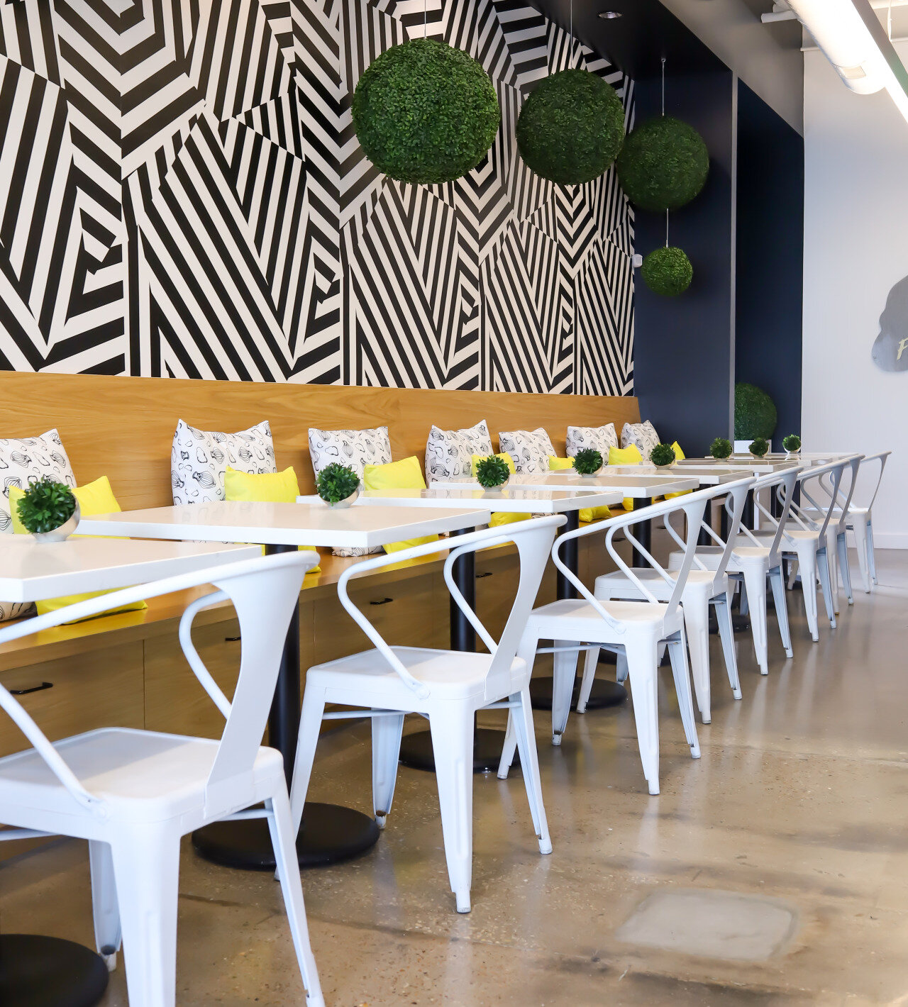 MEET YOUR FAVORITE NEW BAKERY The Scout Guide