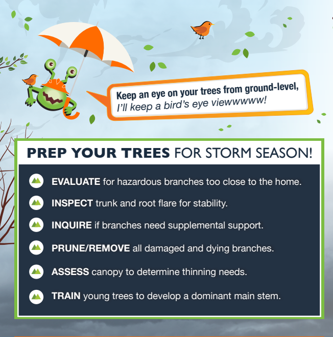 Storm Work and Clean Up with Monster Tree Service of Alexandria - The ...