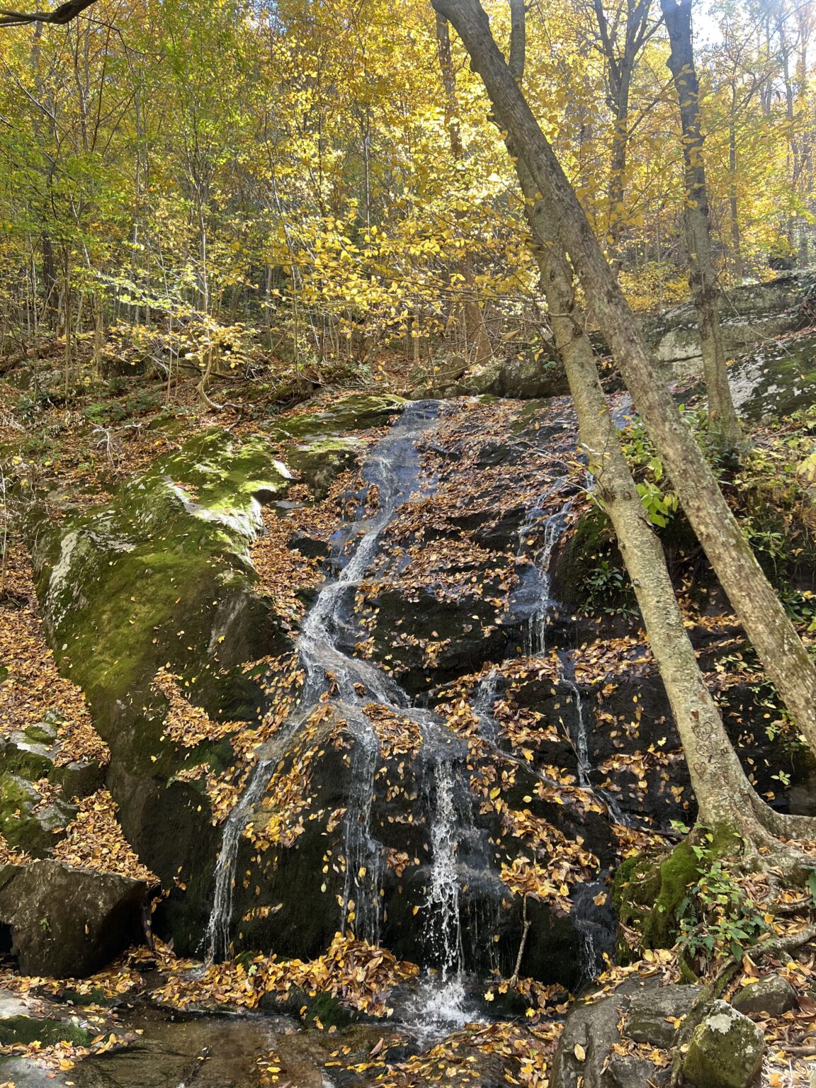 Three Ridges Loop Waterfall The Insider Guide to Fall Hiking Near Charlottesville - The Scout Guide