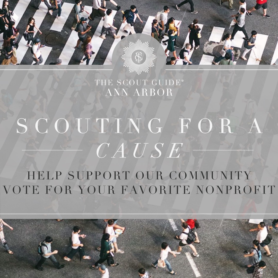 Ann Arbor V2 Scouting For A Cause The Scout Guide
