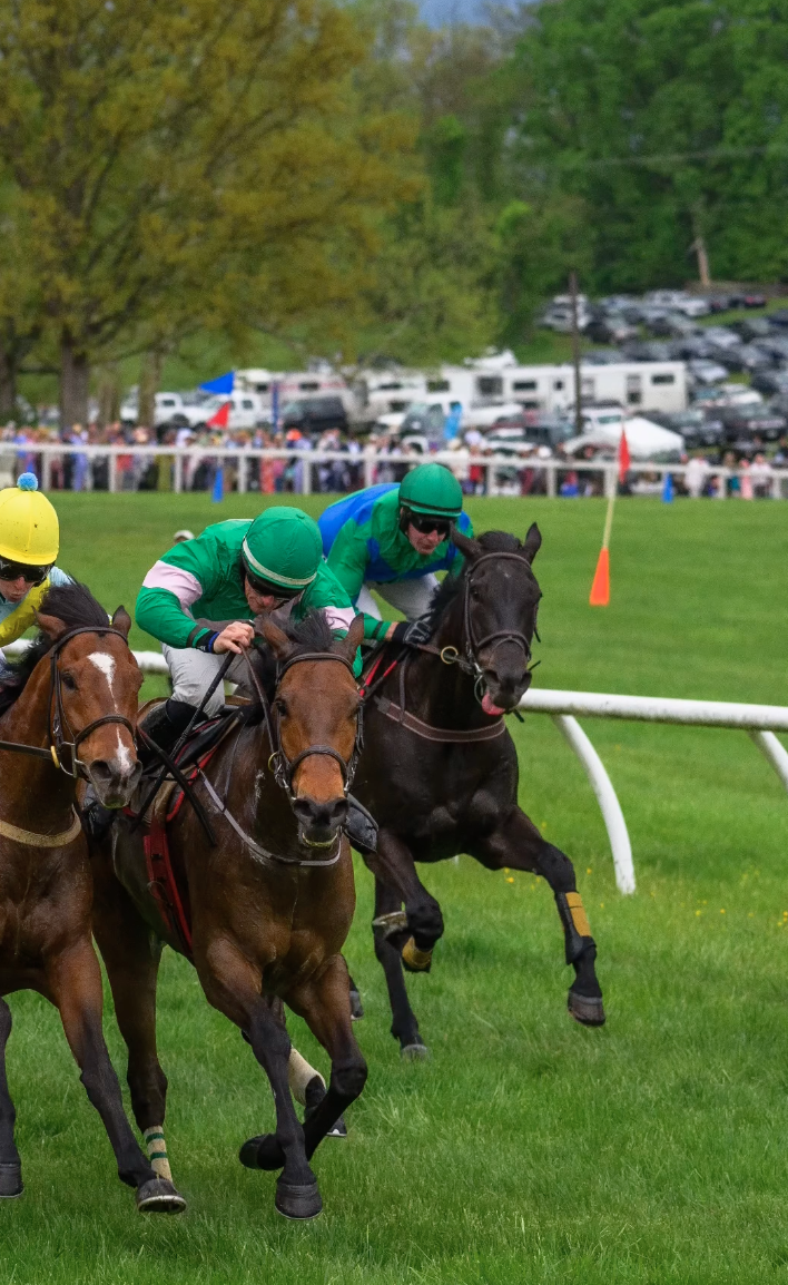 The Middleburg Spring Races The Scout Guide