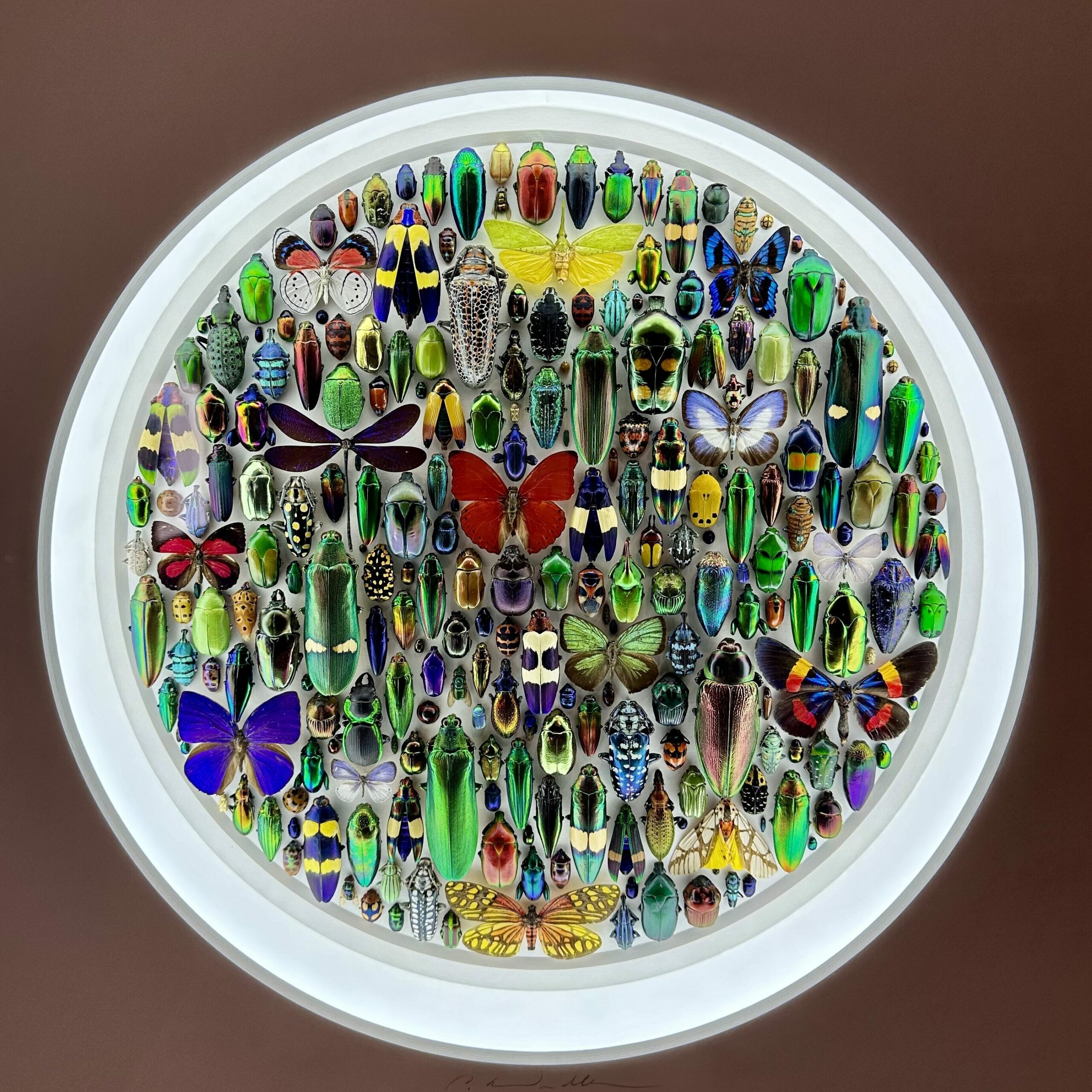 Discover the Best Art Spots in Northwest Arkansas