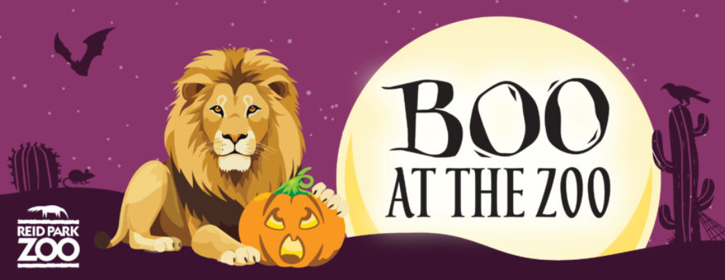 Reid Park Boo at the Zoo: A Spooky Family Experience - The Scout Guide