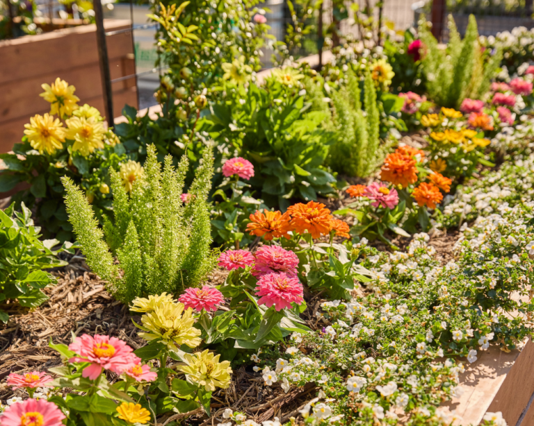 Beautiful Blooms: How to Plant a Cutting Garden - The Scout Guide