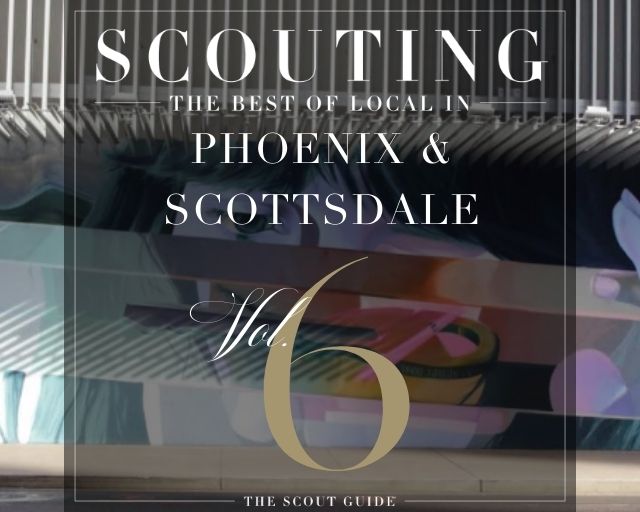 Scouting for V6 | We Want to Hear from You! - The Scout Guide