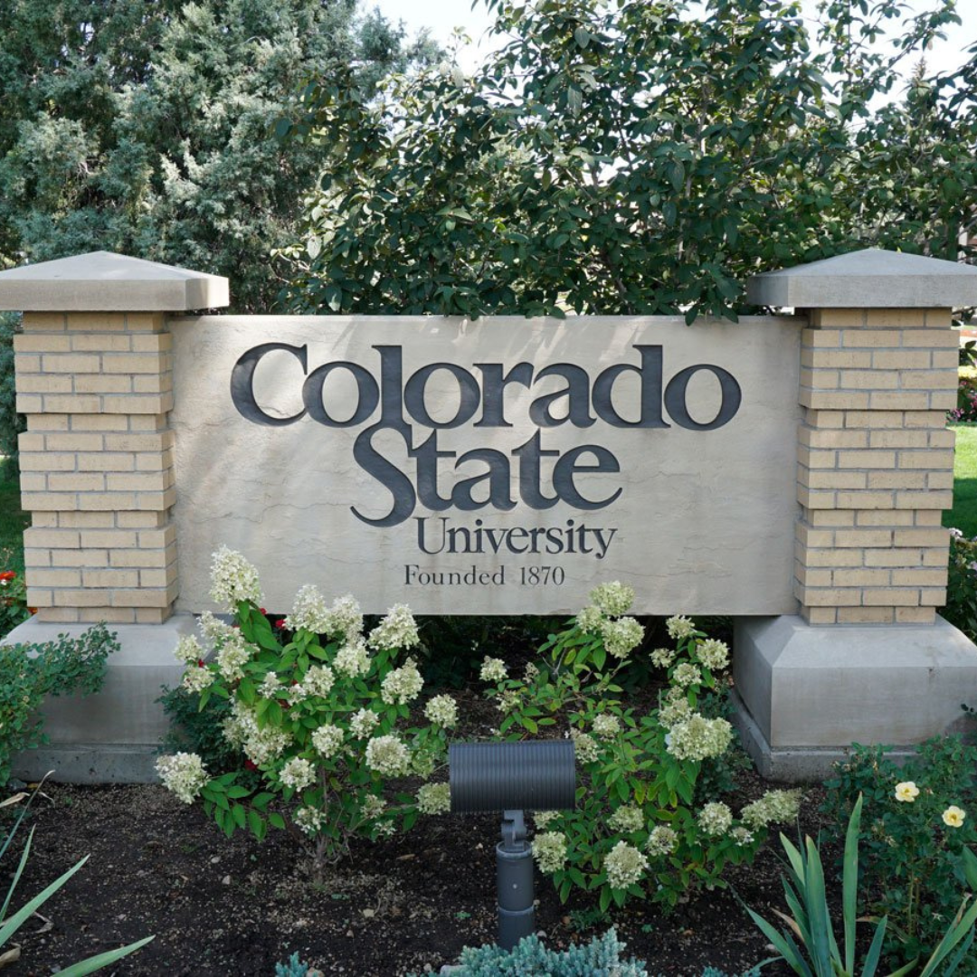 The Scout Guide Fort Collins Member Spotlight: CSU's Impact - The Scout ...