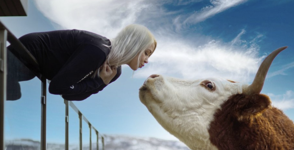 Gala for the Animals at Sage Mountain - The Scout Guide