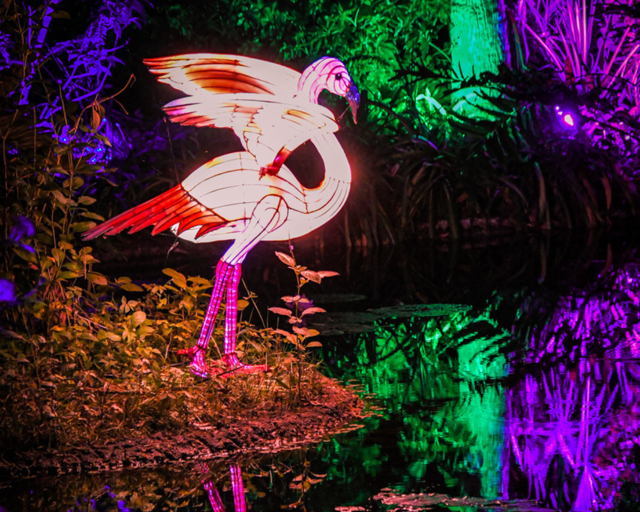 McKee Botanical Garden's 19th Annual Jungle Lights: A Dazzling