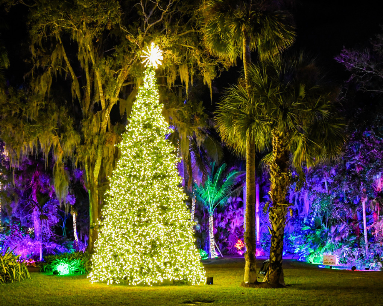 McKee Botanical Garden's 19th Annual Jungle Lights: A Dazzling