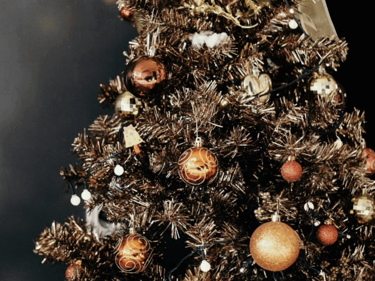 Habitat for Humanity: Celebrating Home Tree Show & Auction - The Scout ...