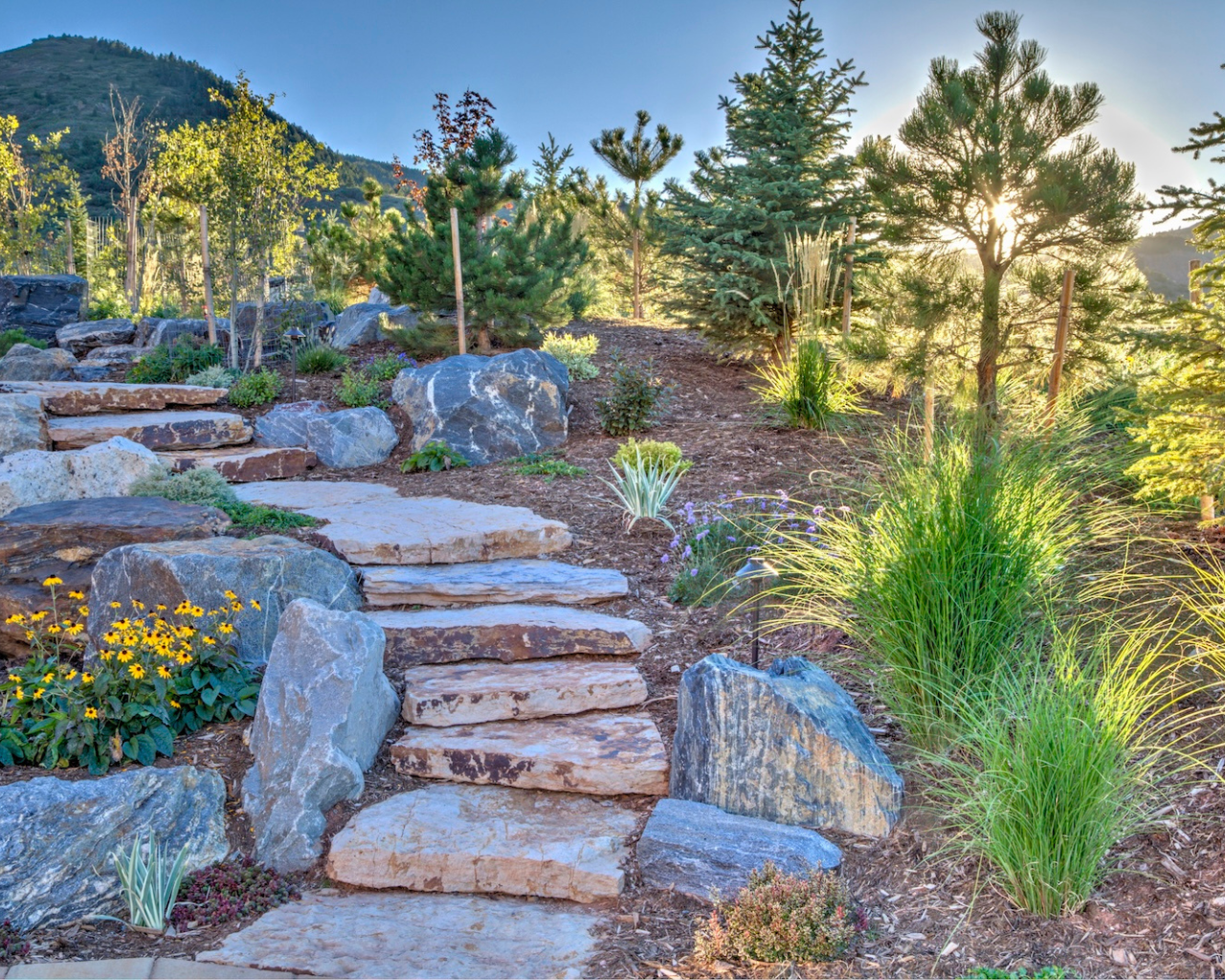 Stone steps and vibrant greenery in a scenic landscape, inspired by The Scout Guide style.